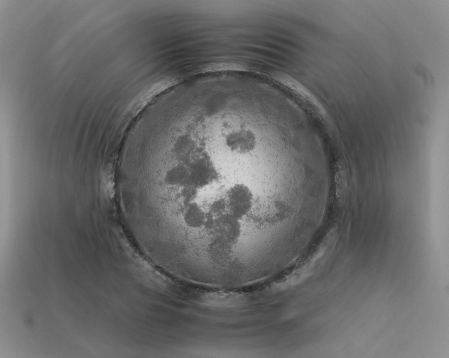 X0000113600929200909181349