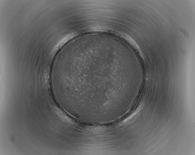 X0000113600930200909181349