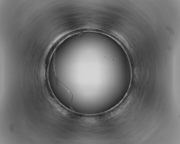 X0000113600931200909181349