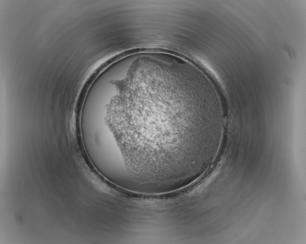 X0000113600932200909181349