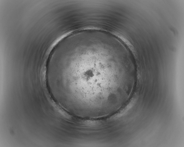 X0000113600933200909181349