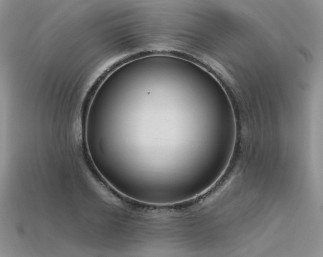 X0000113600934200909181349