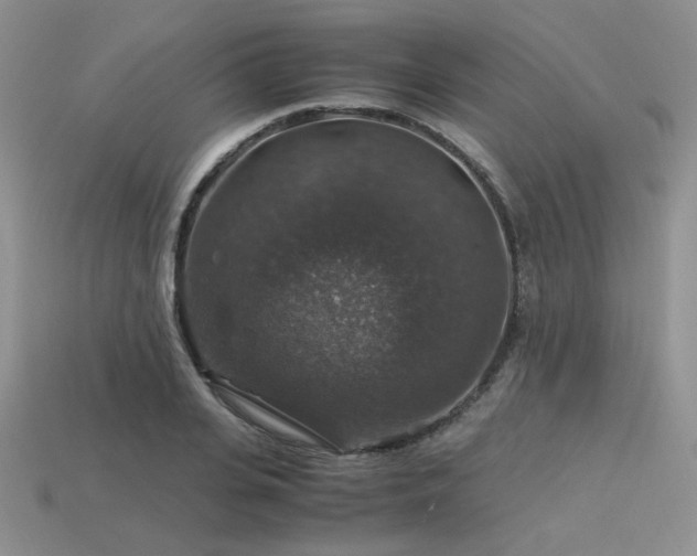 X0000113600935200909181349