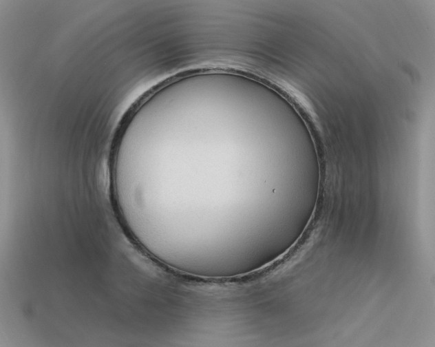 X0000113600936200909181349