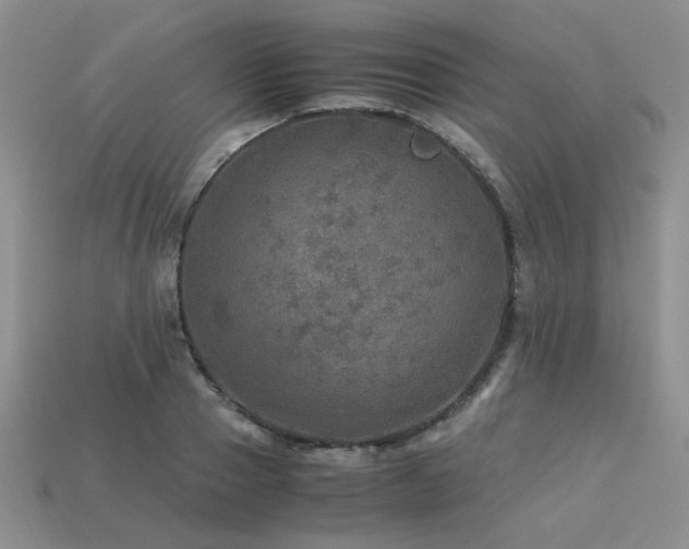 X0000113600937200909181349