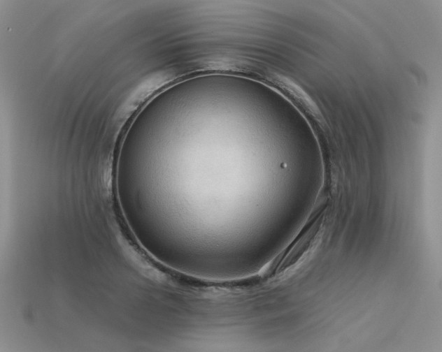 X0000113600938200909181349