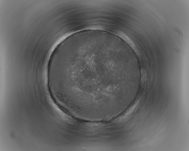 X0000113600939200909181349