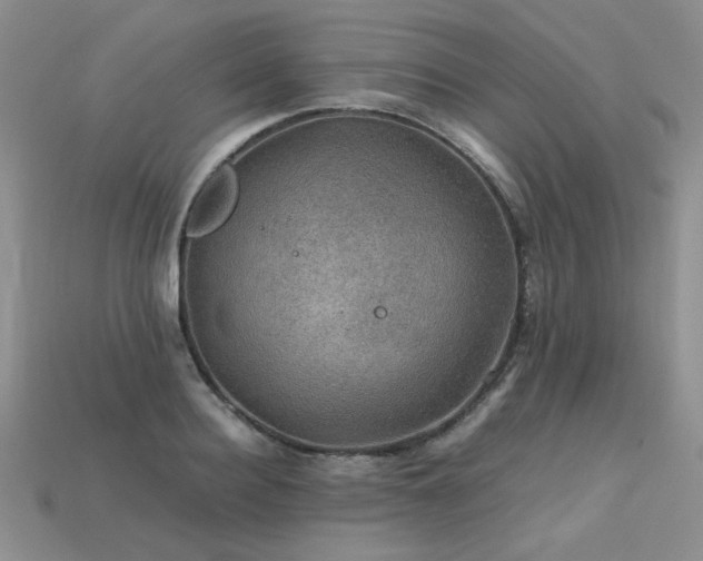 X0000113600940200909181349