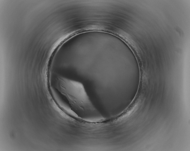 X0000113600941200909181349