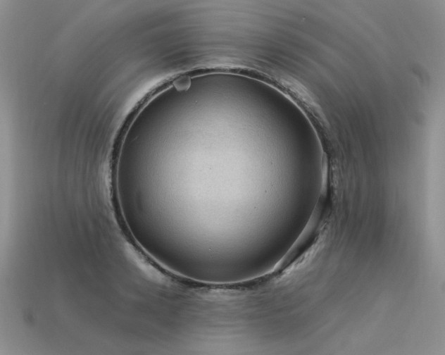 X0000113600942200909181349