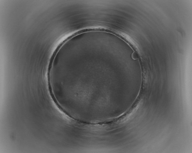 X0000113600943200909181349