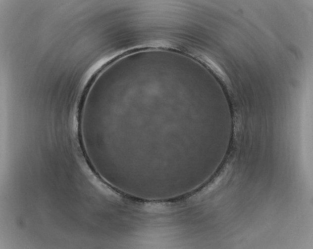 X0000113600944200909181349