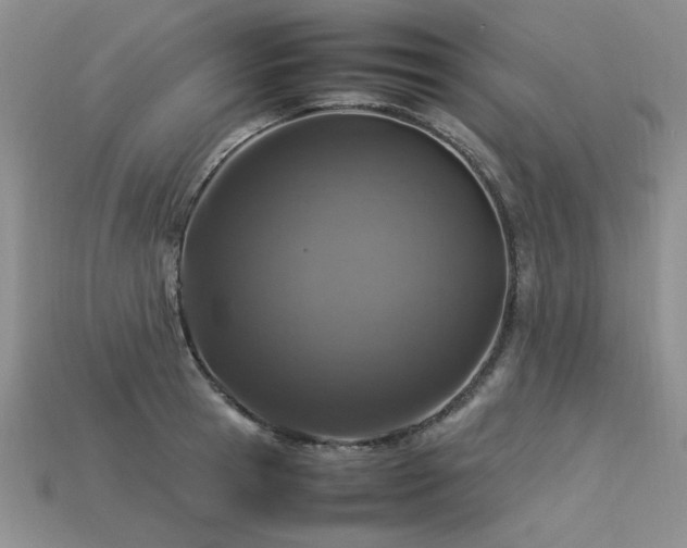 X0000113600945200909181349