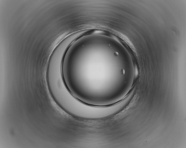 X0000113600946200909181349