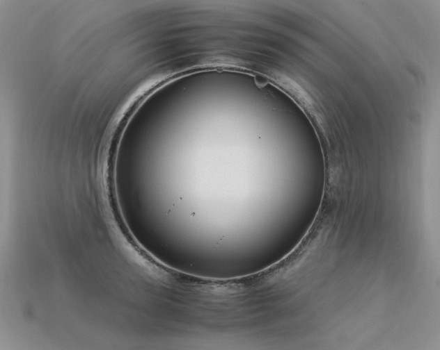 X0000113600947200909181349