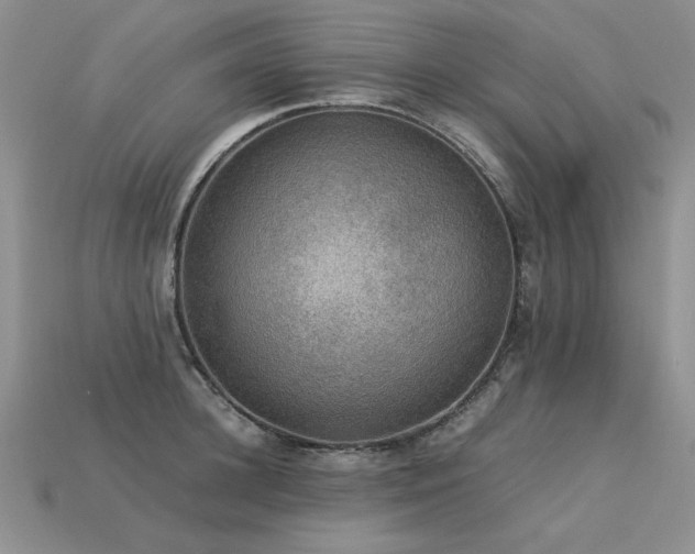 X0000113600948200909181349