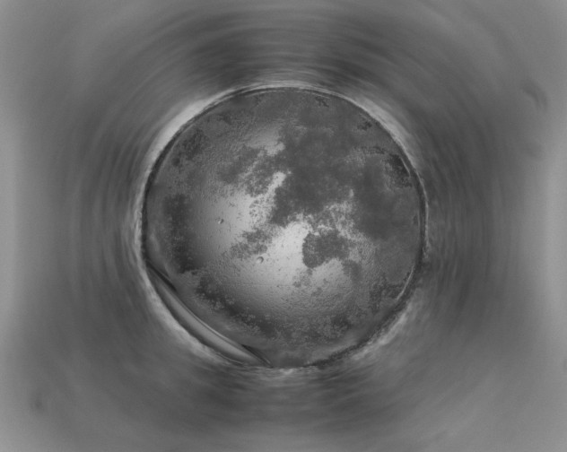 X0000113600949200909181349