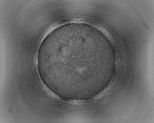 X0000113600950200909181349