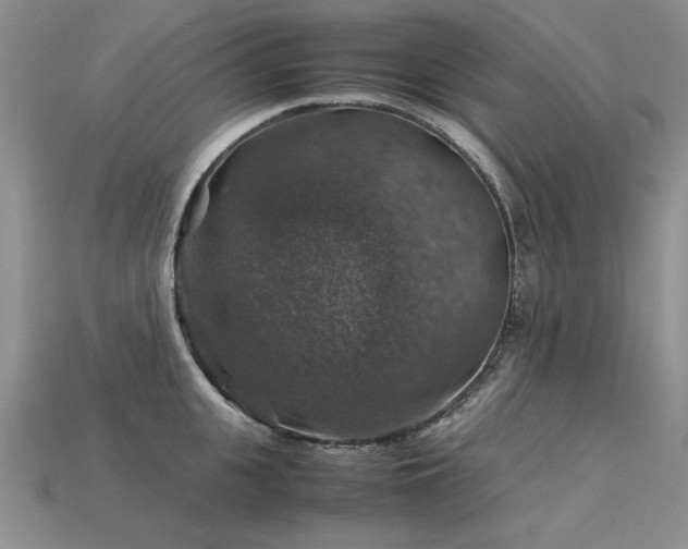 X0000113600951200909181349