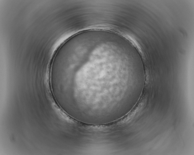 X0000113600952200909181349