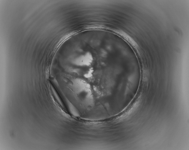 X0000113600953200909181349