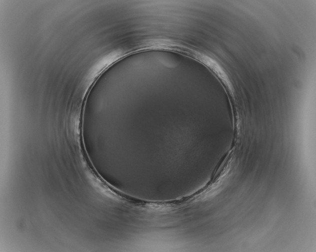 X0000113600954200909181349