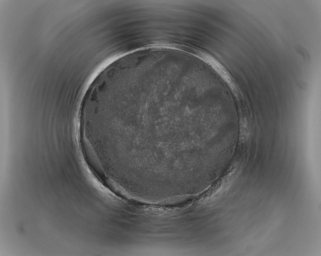 X0000113600955200909181349