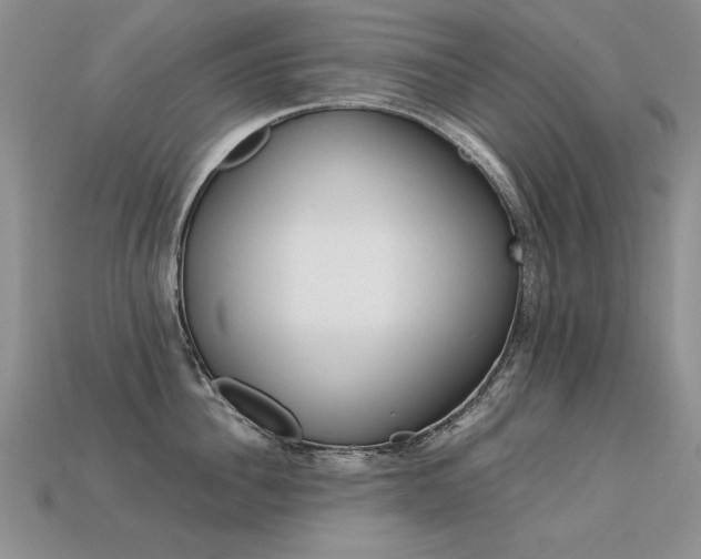 X0000113600956200909181349