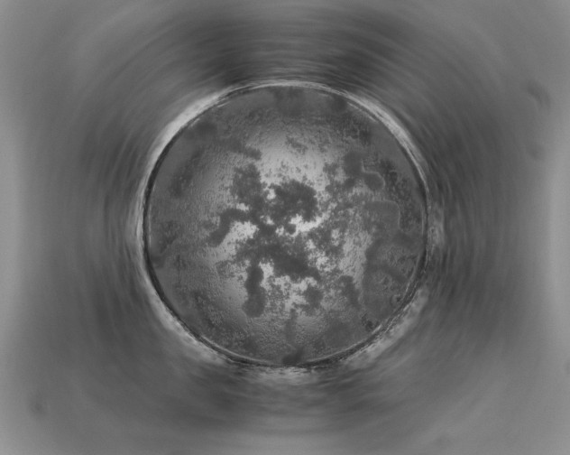 X0000113600957200909181349