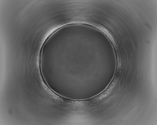 X0000113600958200909181349