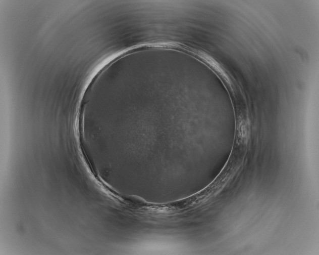 X0000113600959200909181349