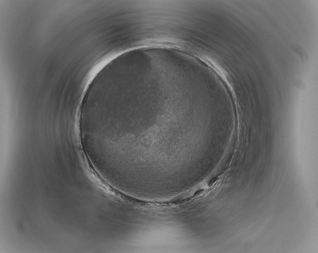 X0000113600960200909181349