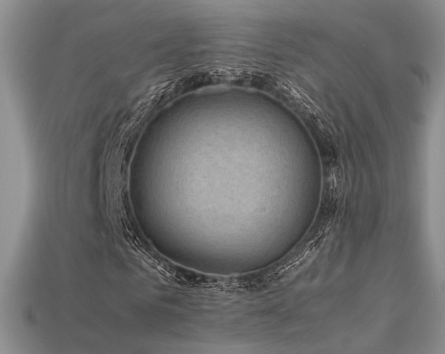 X0000113600961200909181348