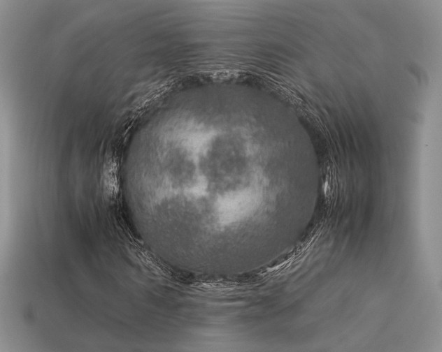 X0000113600962200909181348