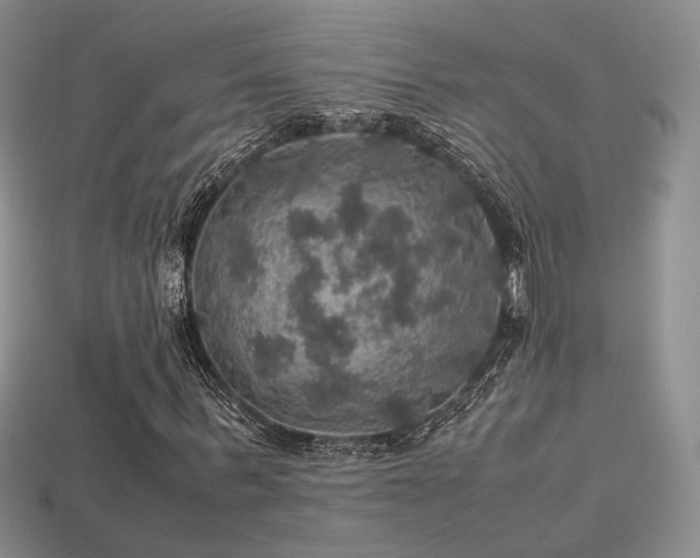 X0000113600963200909181348