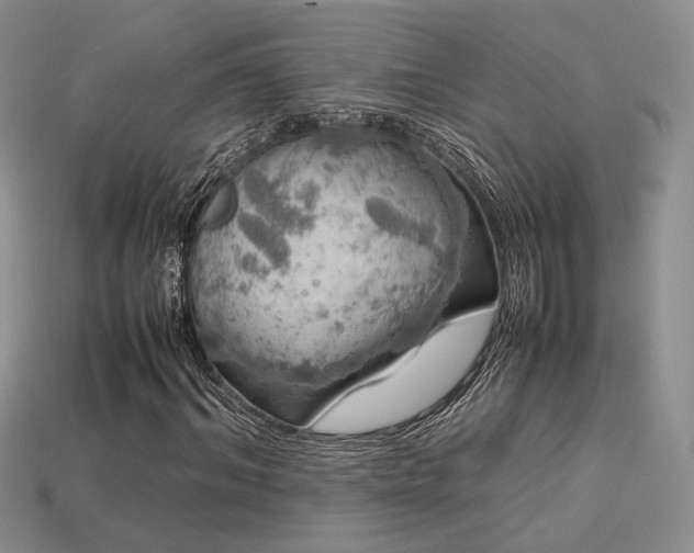 X0000113600964200909181348