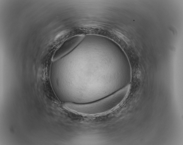 X0000113600965200909181348