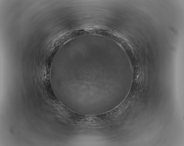 X0000113600966200909181348