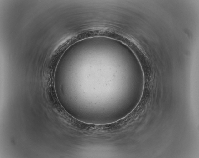 X0000113600967200909181348