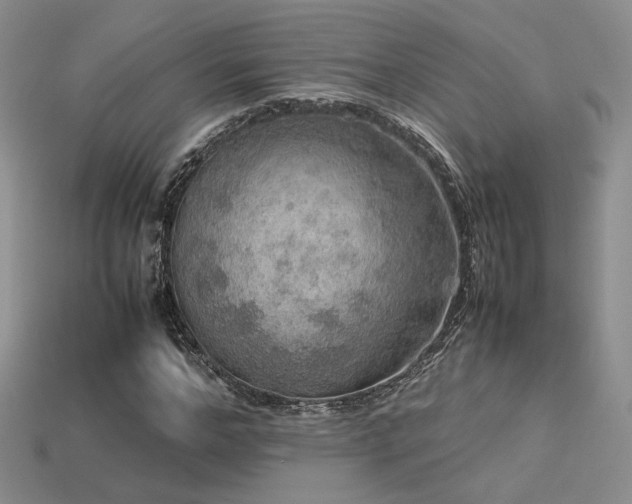 X0000113600968200909181348