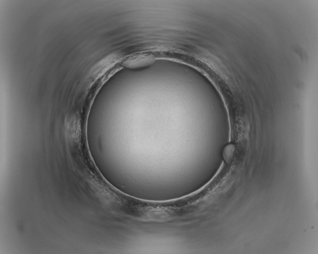 X0000113600969200909181348