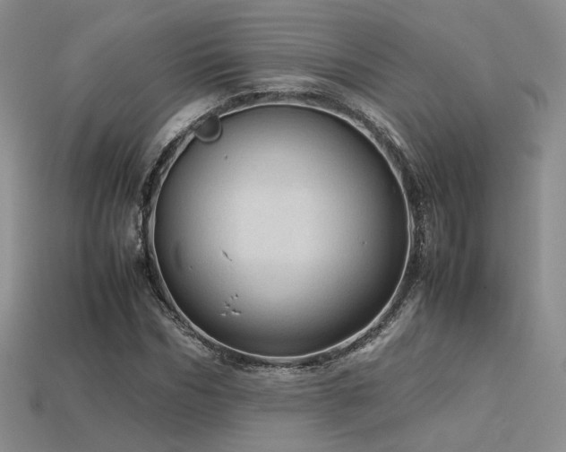 X0000113600970200909181348