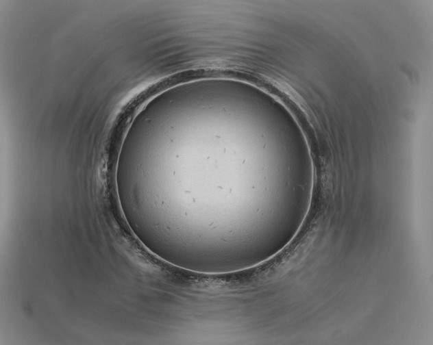 X0000113600971200909181348