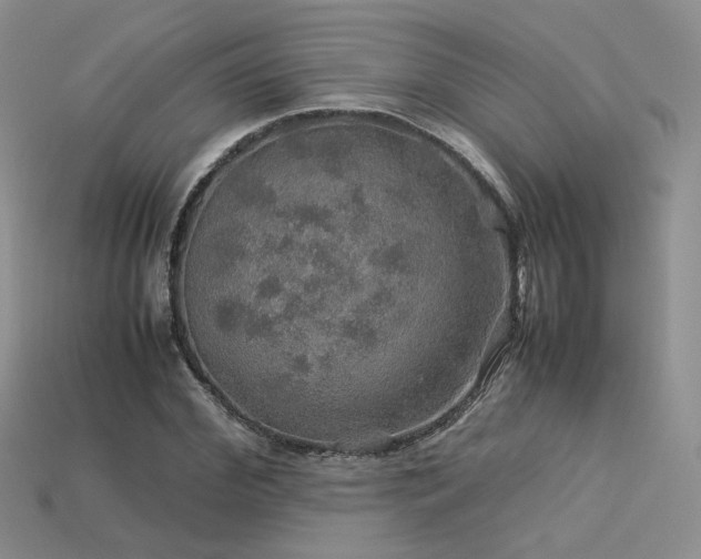 X0000113600972200909181348