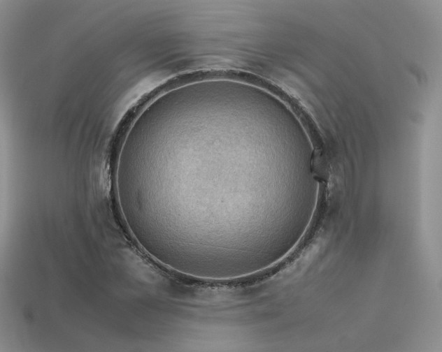 X0000113600973200909181348