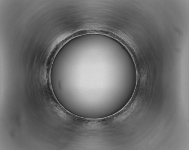 X0000113600974200909181348