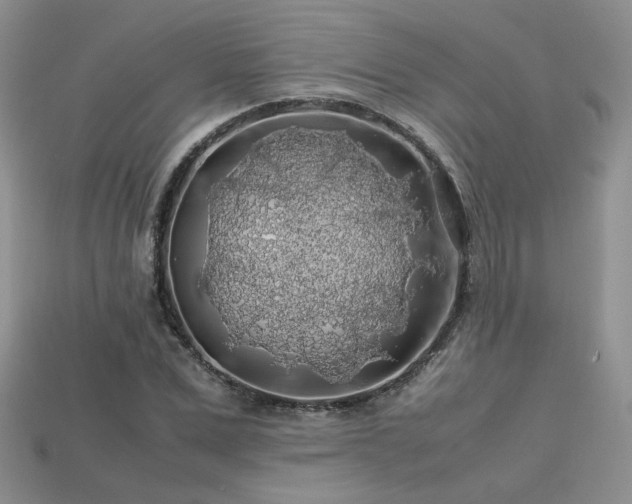 X0000113600975200909181348