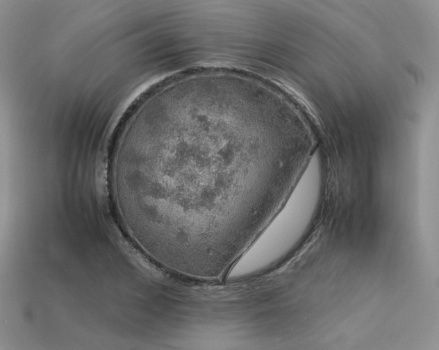 X0000113600976200909181348