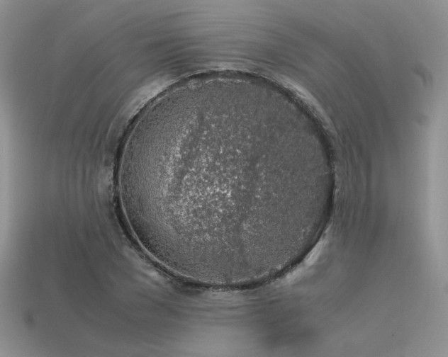 X0000113600977200909181348