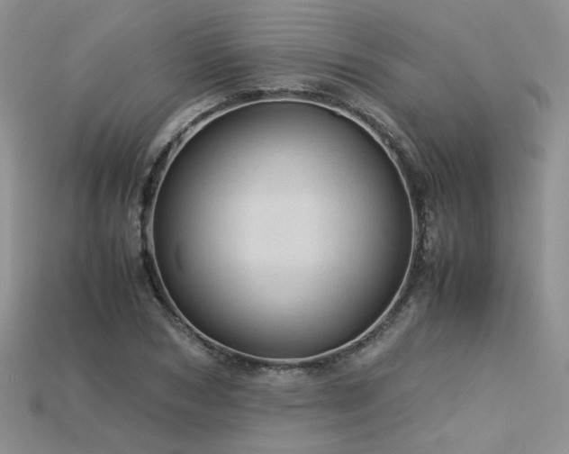 X0000113600978200909181348